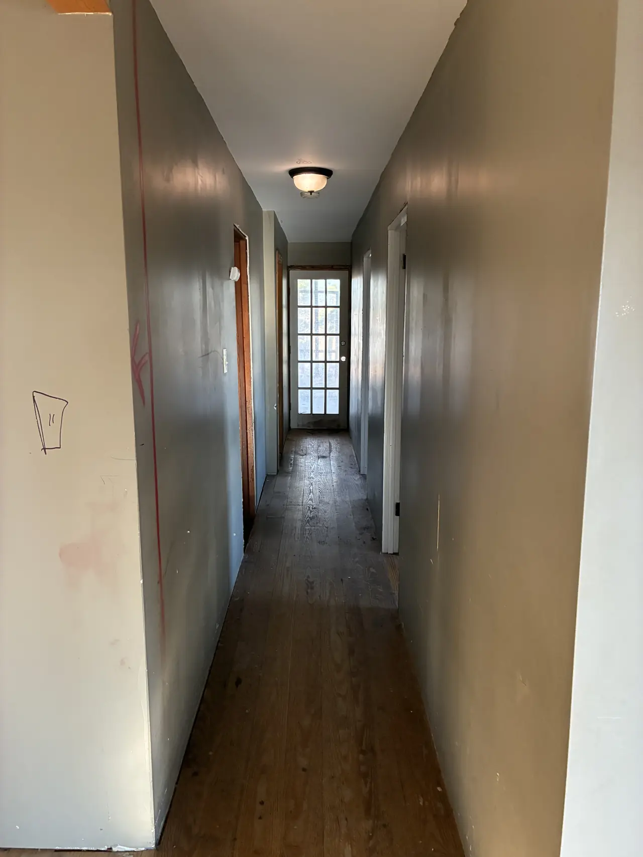 Hallway before renovation, with gray walls, a dome ceiling light, worn wood floors, and a glass-paned door at the far end